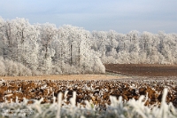 Fototagebuch-Archiv 2025