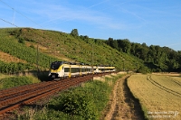 Sommermorgen mit Mireo  Der Weinbau hierzulande ist mittlerweile wenig attraktiv. So wächst an den terrassierten Steillagen, die dem Fotografen mitunter als Motiv dienen, seit geraumer Zeit keine einzige Traube mehr - der Hang wird eines Tages vollständig zuwuchern. Lediglich der Abschnitt am linken Bildrand wird noch bewirtschaftet. Auch der Nahverkehr hat sich verändert: Das Land Baden‑Württemberg hat 28 Mireo von Siemens angeschafft, um eigene Ersatzzüge im Fuhrpark zu haben. Diesen lauerte ich am Morgen des 18. Juni 2026 auf:  0463 228  und  0463 210  bespannten die DRB 19093 Neckarsulm – Stuttgart Hbf.  Aufnahme vom Hochstativ