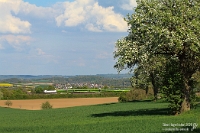 Mal wieder FlixTrain  Am Nachmittag des 17. April 2026 kam ich auf die Idee, mal wieder dem FlixTrain aufzulauern. Der letzte Versuch ist lange her, und seit der Umstellung der Linie FLX 10 auf Vectron hatte ich keinen weiteren Anlauf unternommen. Kurz hinter der Talbrücke Bauerbach fand ich ein schönes Plätzchen, das nicht zugewachsen war und somit einen freien Blick auf den Zug bot. Am DRF 1246 Stuttgart Hbf – Berlin Hbf war an jenem Tag die weiße  7193 606  eingeteilt, die erst knapp zehn Monate im Einsatz war. Leider waren die Wagen etwas graffitisiert, sodass eine Nacharbeit am Bildschirm notwendig war.